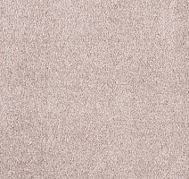 Ковролин AW Invictus Carolus 60 фото 1 | FLOORDEALER